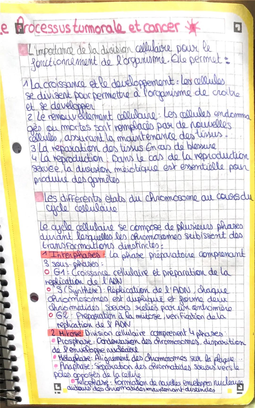 Le processus tumorale et cancer 