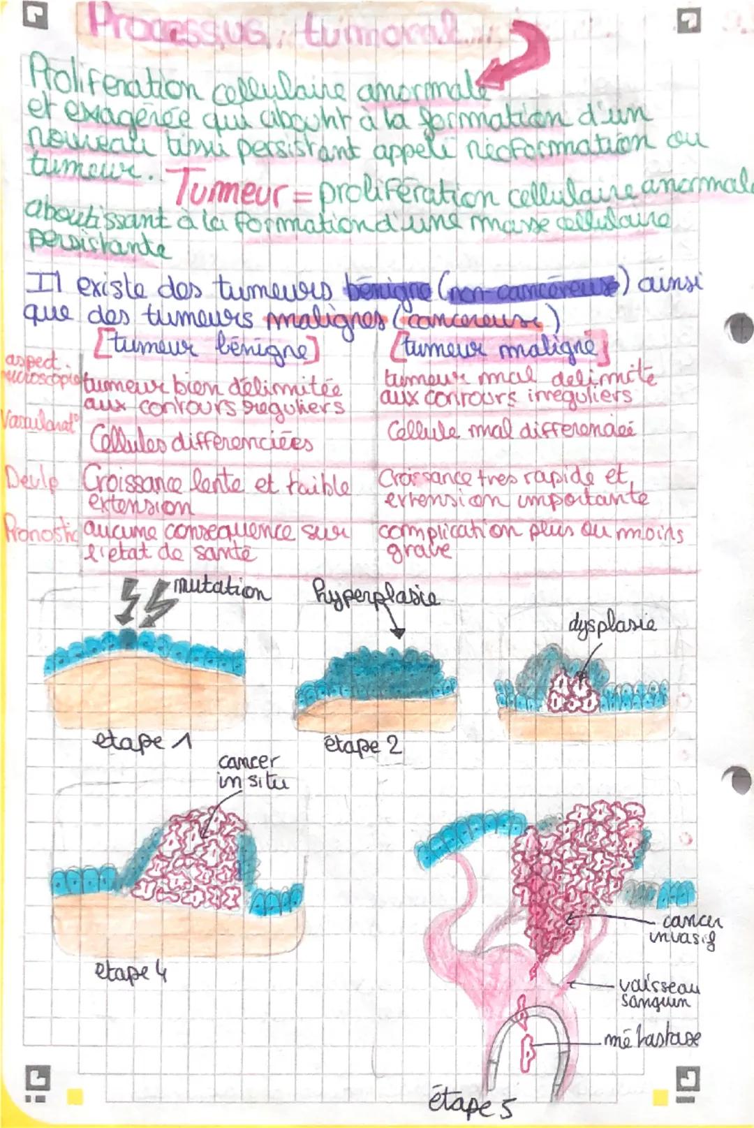 # Le Brocessus tumorale et concer

L'importance de la division cellulaire pour le
fonctionnement de l'organisme. Elle permet:

1 La croissan