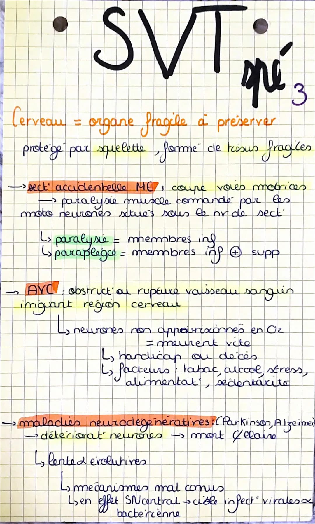 Comment garder notre cerveau en bonne santé et apprendre après des problèmes!