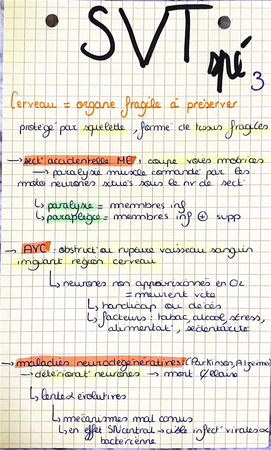SVT
=
Cerveau
organe fragile a preserver
protege par squelette, forme de ressus fragiles
->
spe 3
->sect" accidentelle ME: coupe voies motri