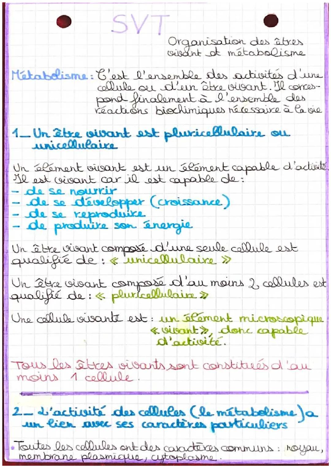 Organisation des êtres vivant et métabolisme 