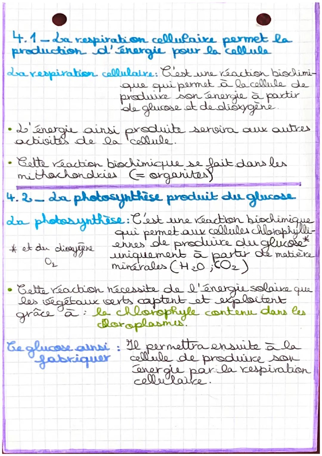 SVT
Metabolisme: C'est l'ensemble des activités d'une
cellule ou d'un être vivant. Il corres-
pond finalement à l'ensemble des
réactions bio