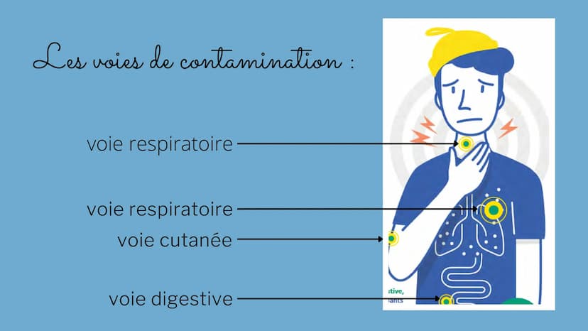 MIEUX RESPIRER
POUR MIEUX VIVRE
Quel est l'impact de la qualité de l'air sur la santé
humaine ? Qu'est-ce que la
pollution et quelles
sont s