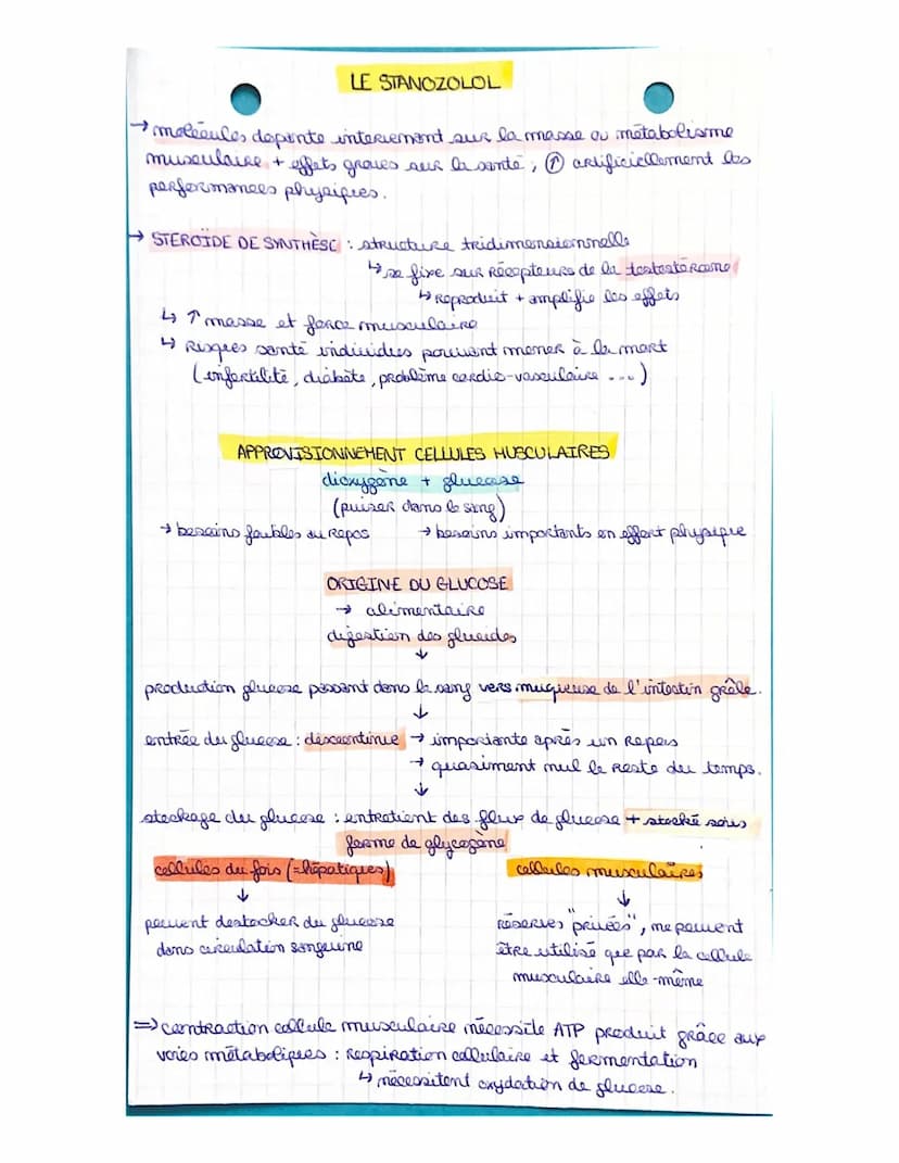 LA CELLULE MUSCULAIRE
muscles organes capables de se contracter
• muscles atrices muscles Rattachés aux os permettant le
1
maruement.
1 ↳ co