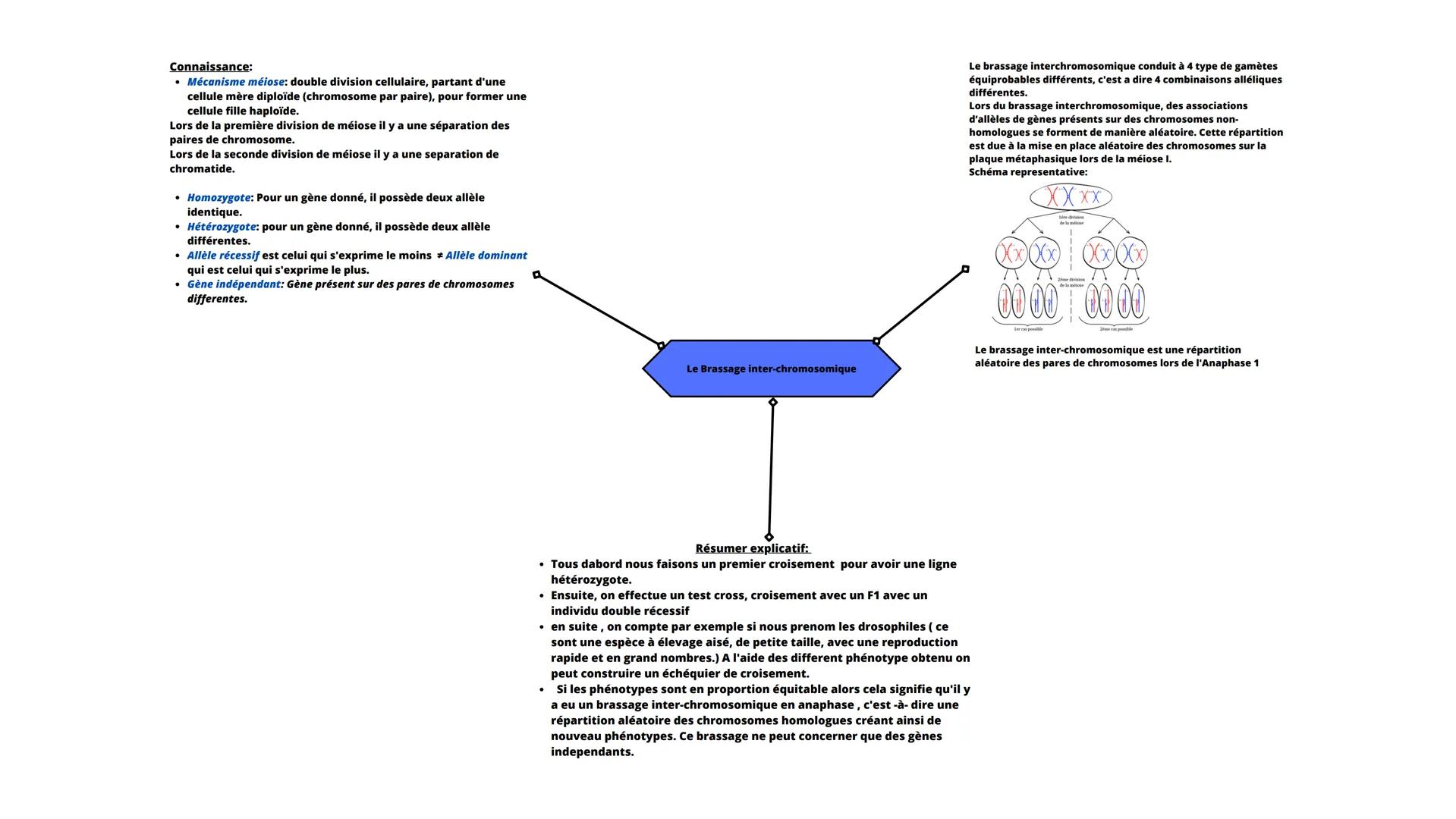 Connaissance:
• Mécanisme méiose: double division cellulaire, partant d'une
cellule mère diploïde (chromosome par paire), pour former une
ce