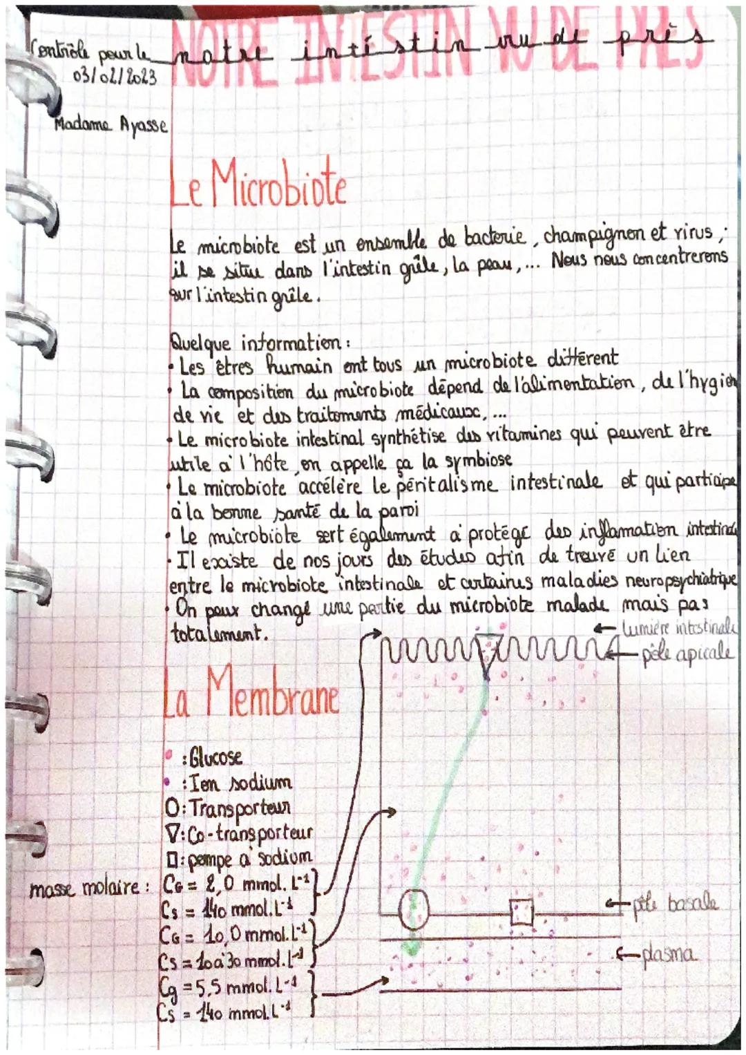 # Controle pour le natre intístin nude
urals
03/02/2023
Madame Ayasse

# intístin rude près

## Le Microbiote

Le microbiote est un ensemble