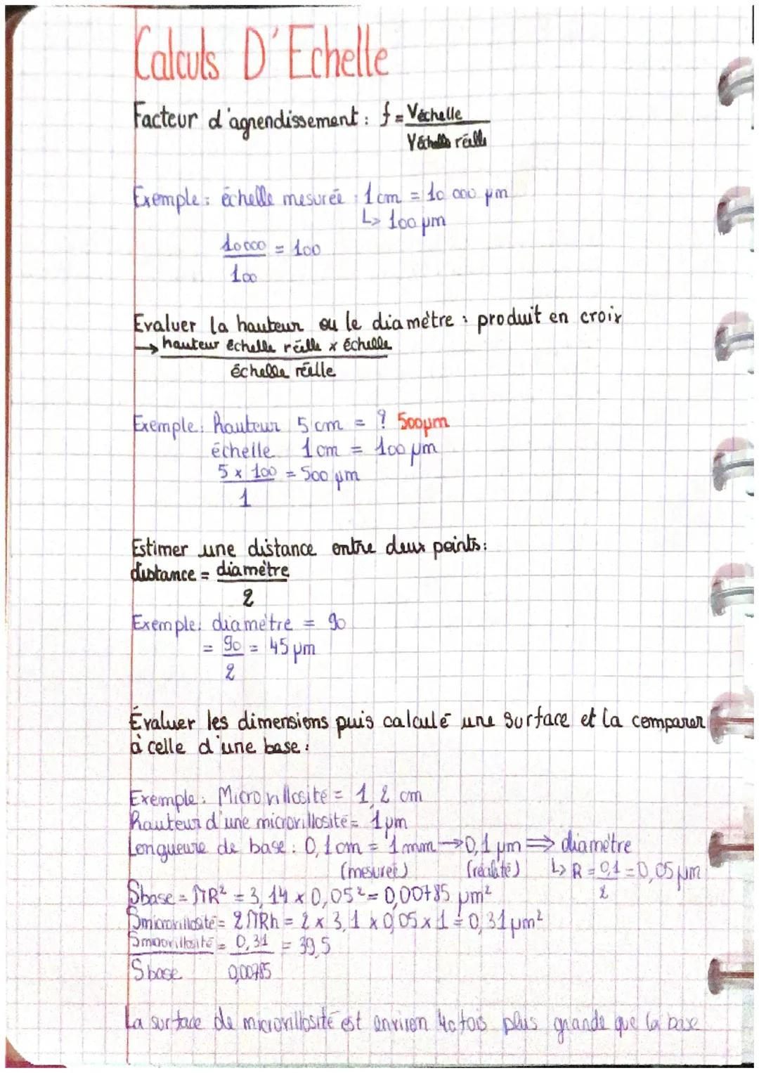 # Controle pour le natre intístin nude
urals
03/02/2023
Madame Ayasse

# intístin rude près

## Le Microbiote

Le microbiote est un ensemble