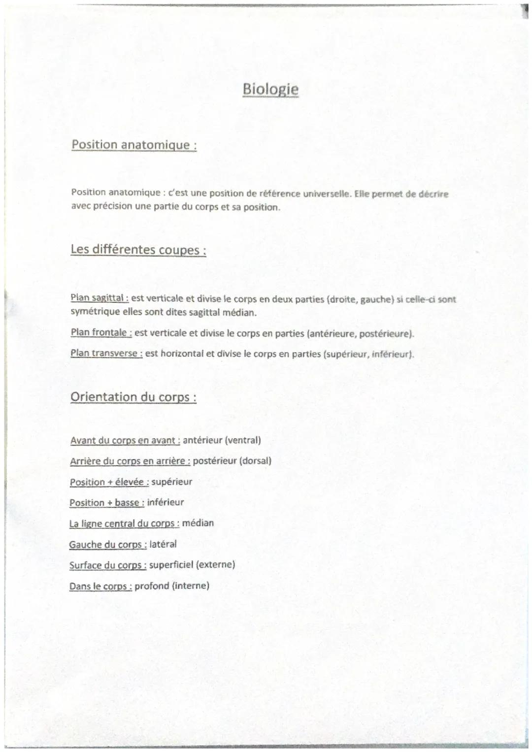 Position anatomique :
Position anatomique : c'est une position de référence universelle. Elle permet de décrire
avec précision une partie du