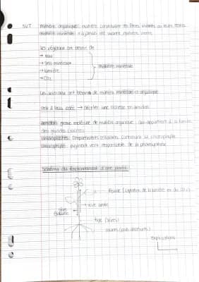 Know La plante et la photosynthèse  thumbnail