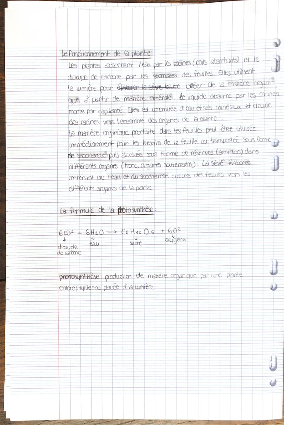 [
€
SVT
matière organique : matière constituant les êtres vivants ou leurs restes.
matière minérale: n'a jamais été vivante, matière inerte
