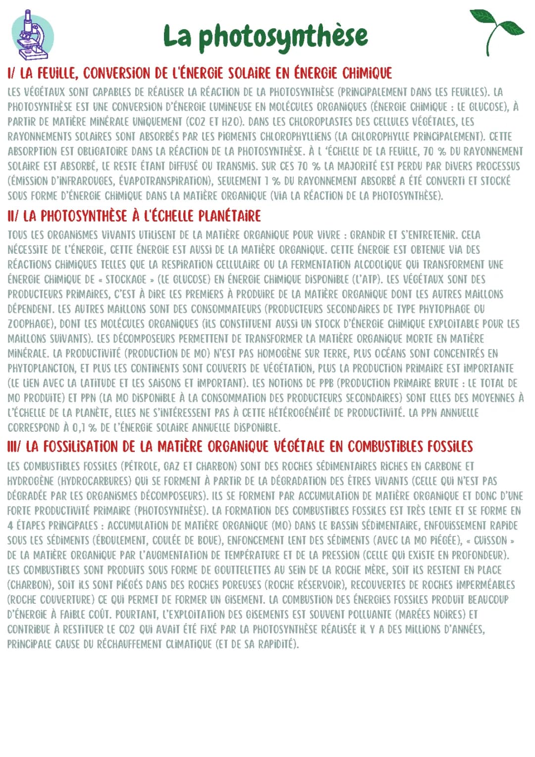 La photosynthèse