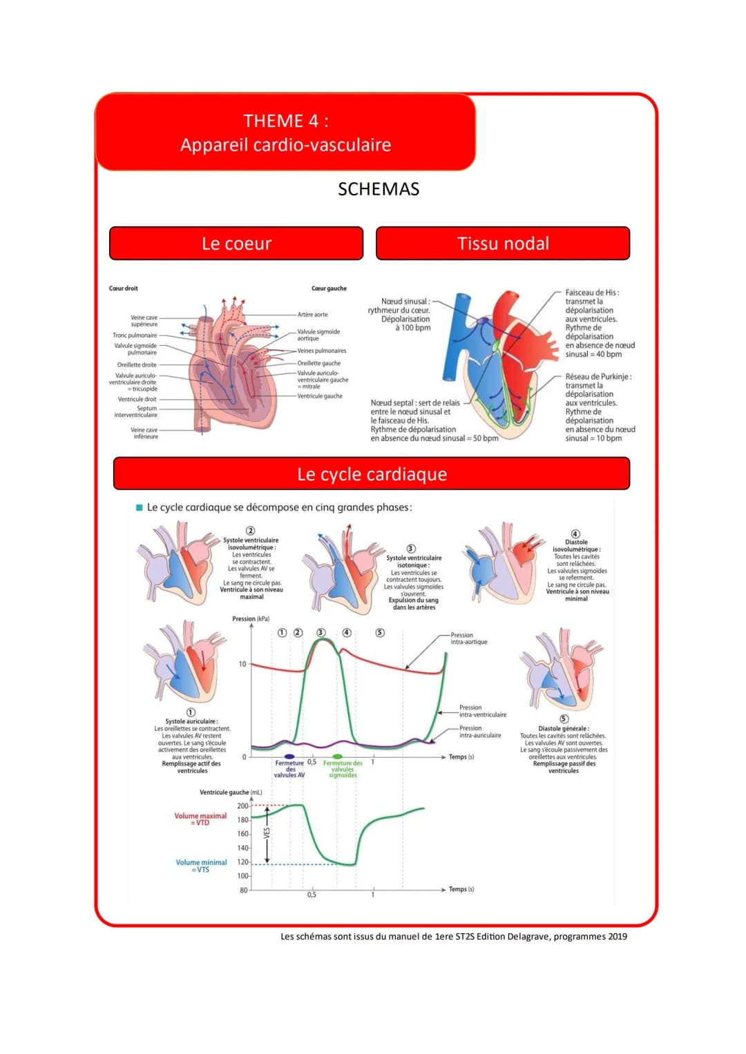 Vocabulaire
THEME 4:
Appareil cardio-vasculaire
Accident Vasculaire
cérébral
Anémie
Anévrisme
Angiographie
Angioplastie
Angor
Anoxémie
Défin