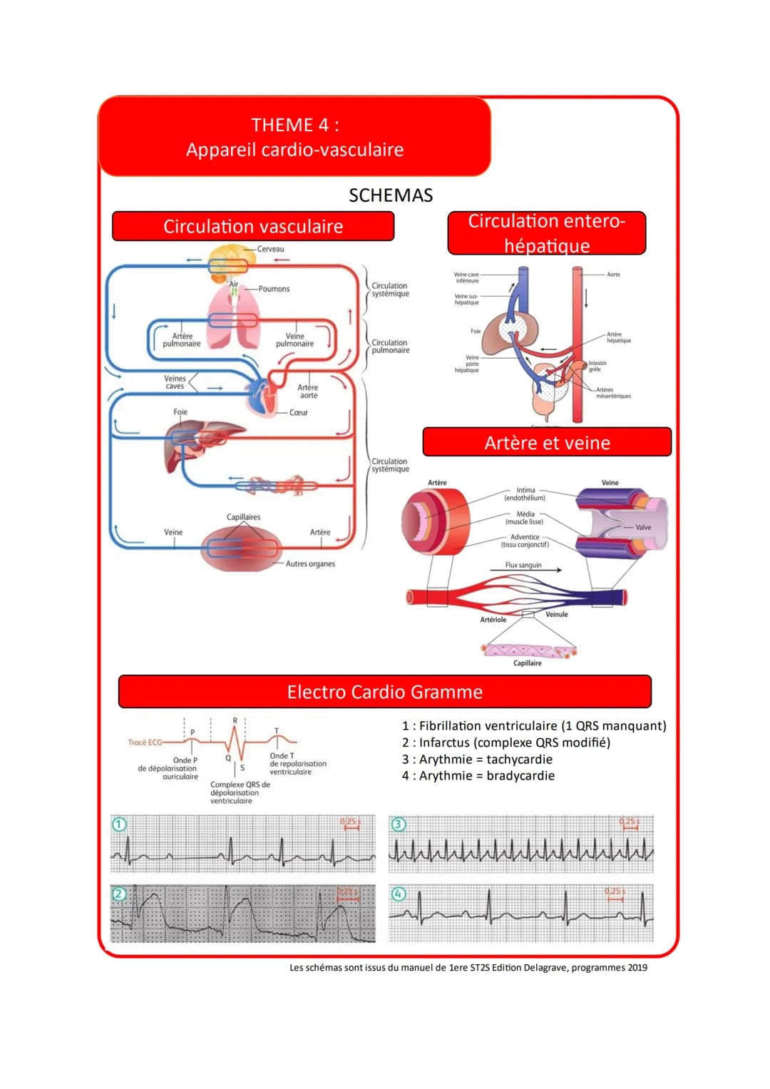 Vocabulaire
THEME 4:
Appareil cardio-vasculaire
Accident Vasculaire
cérébral
Anémie
Anévrisme
Angiographie
Angioplastie
Angor
Anoxémie
Défin