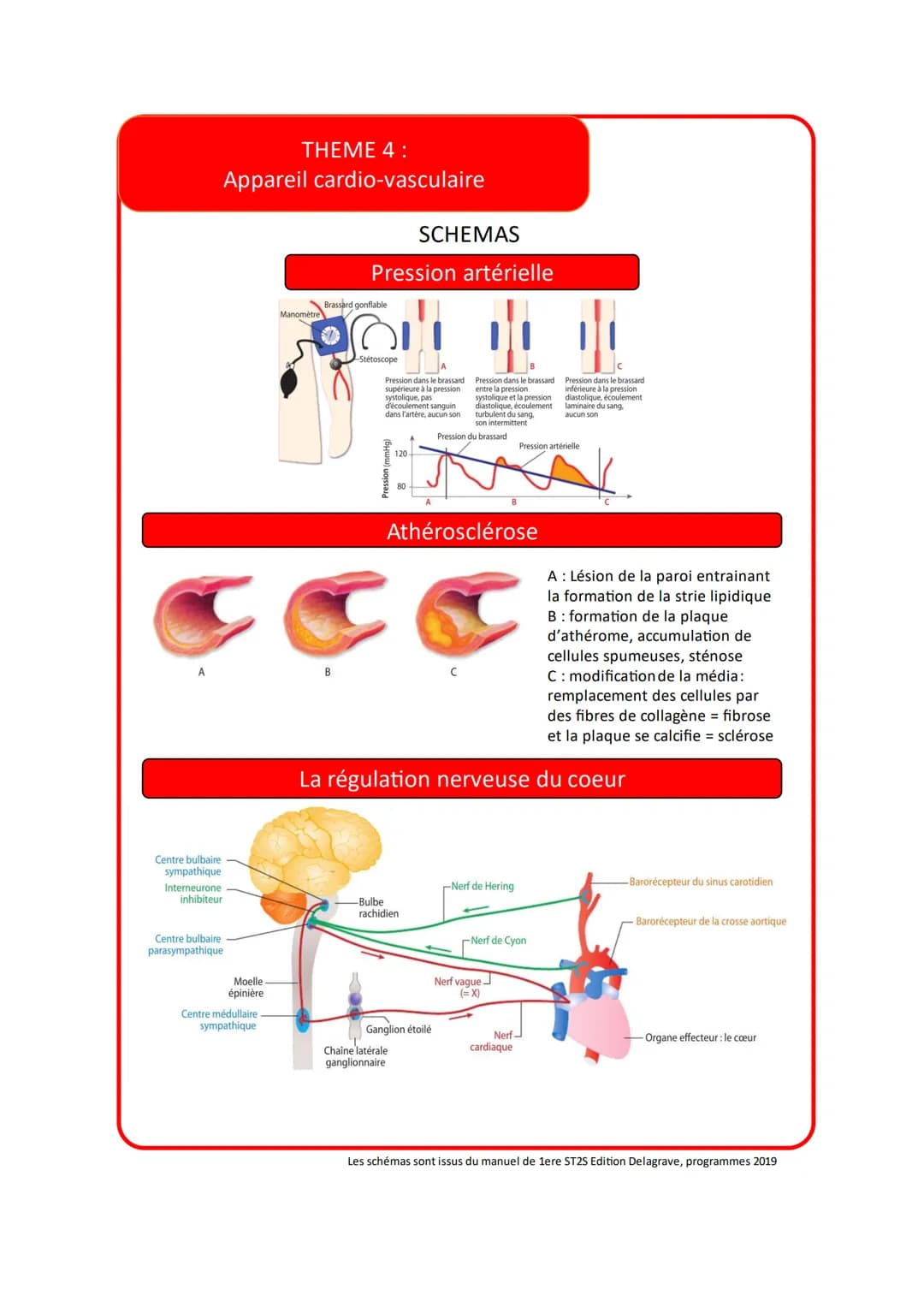 Vocabulaire
THEME 4:
Appareil cardio-vasculaire
Accident Vasculaire
cérébral
Anémie
Anévrisme
Angiographie
Angioplastie
Angor
Anoxémie
Défin