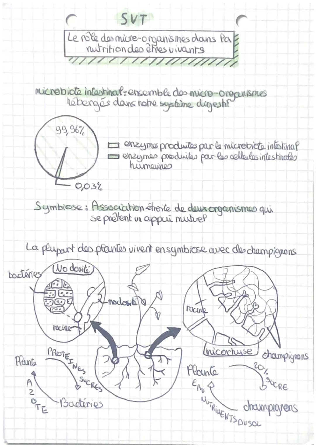 А
SVT
Le rôle des micro-organisines dans Pa
nutrition des êtres vivants
Micrebicte intestinal: ensemble des micro-organismes
hebergés dans n