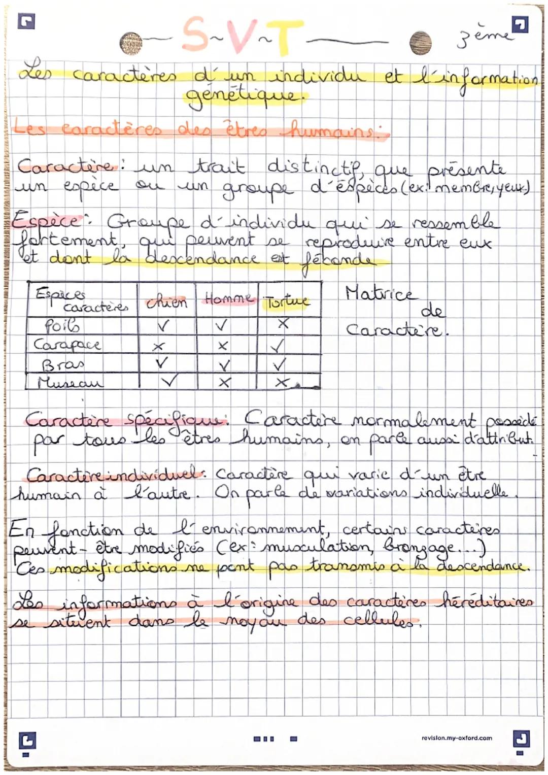 S-V-T-
3eme
Les caractères d'un individu et l'information
génétique.

Les caractères des êtres humains:

Caractère: un trait distinctip, que