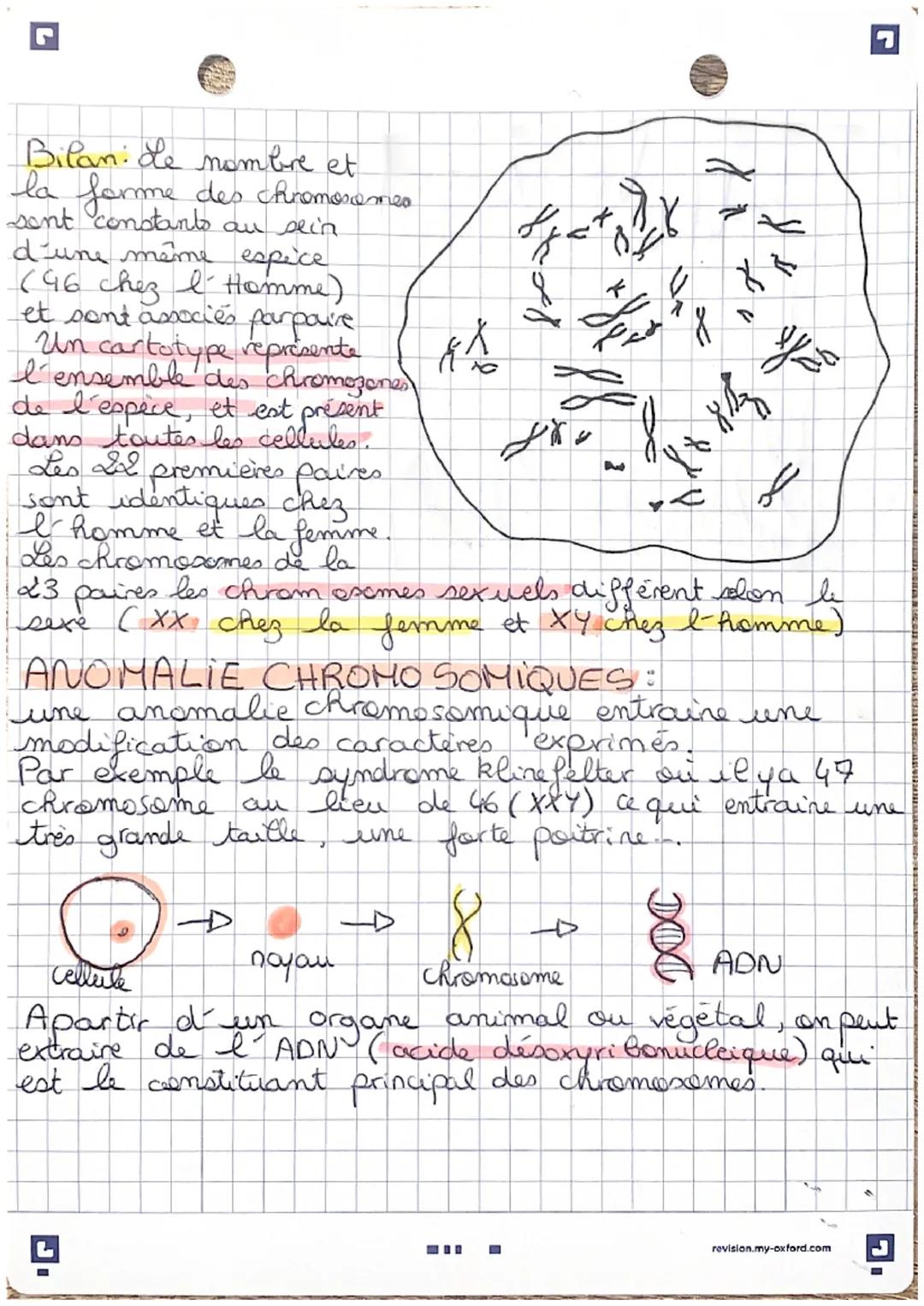 S-V-T-
3eme
Les caractères d'un individu et l'information
génétique.

Les caractères des êtres humains:

Caractère: un trait distinctip, que