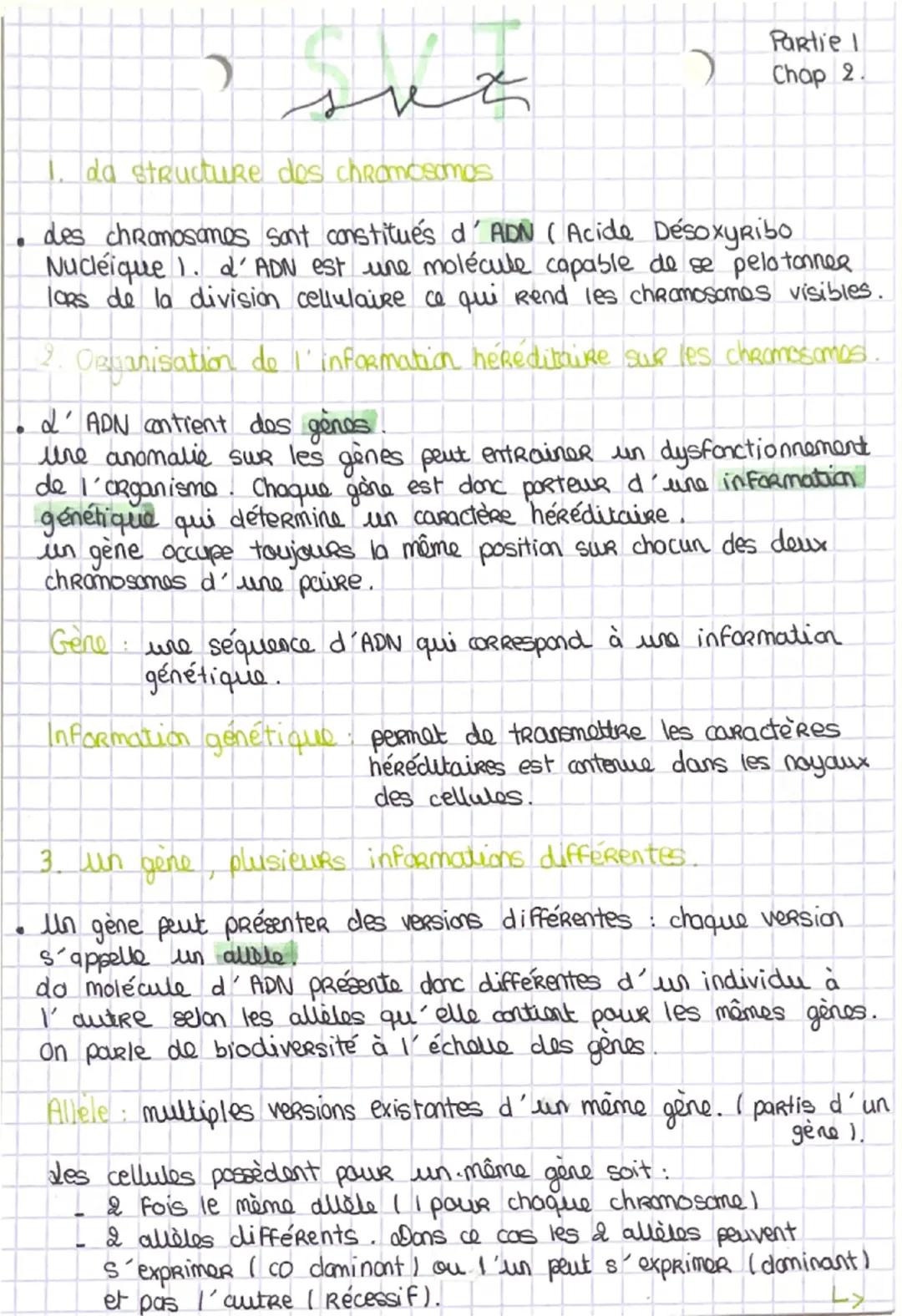 Partie I
Chap 2.

1. da structure des chromosomos

- des chromosomes sont constitués d'ADN (Acide Désoxyribo
Nucléique 1. d'ADN est une molé