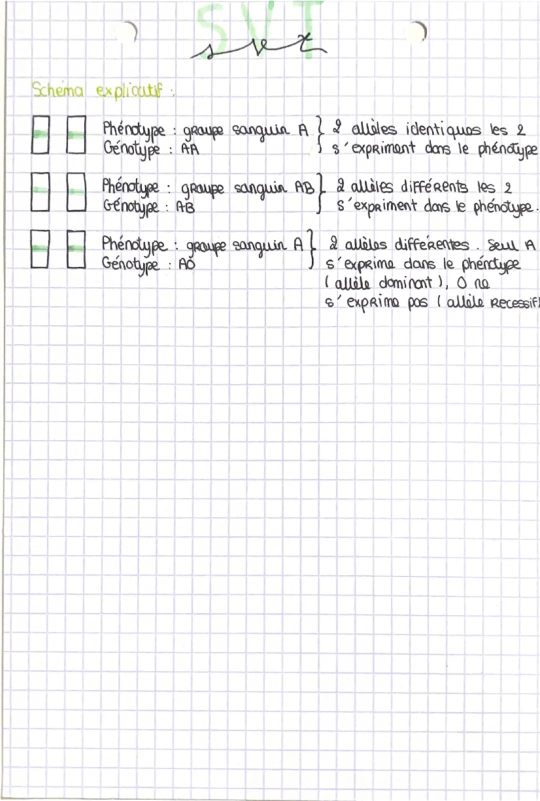 Partie I
Chap 2.

1. da structure des chromosomos

- des chromosomes sont constitués d'ADN (Acide Désoxyribo
Nucléique 1. d'ADN est une molé