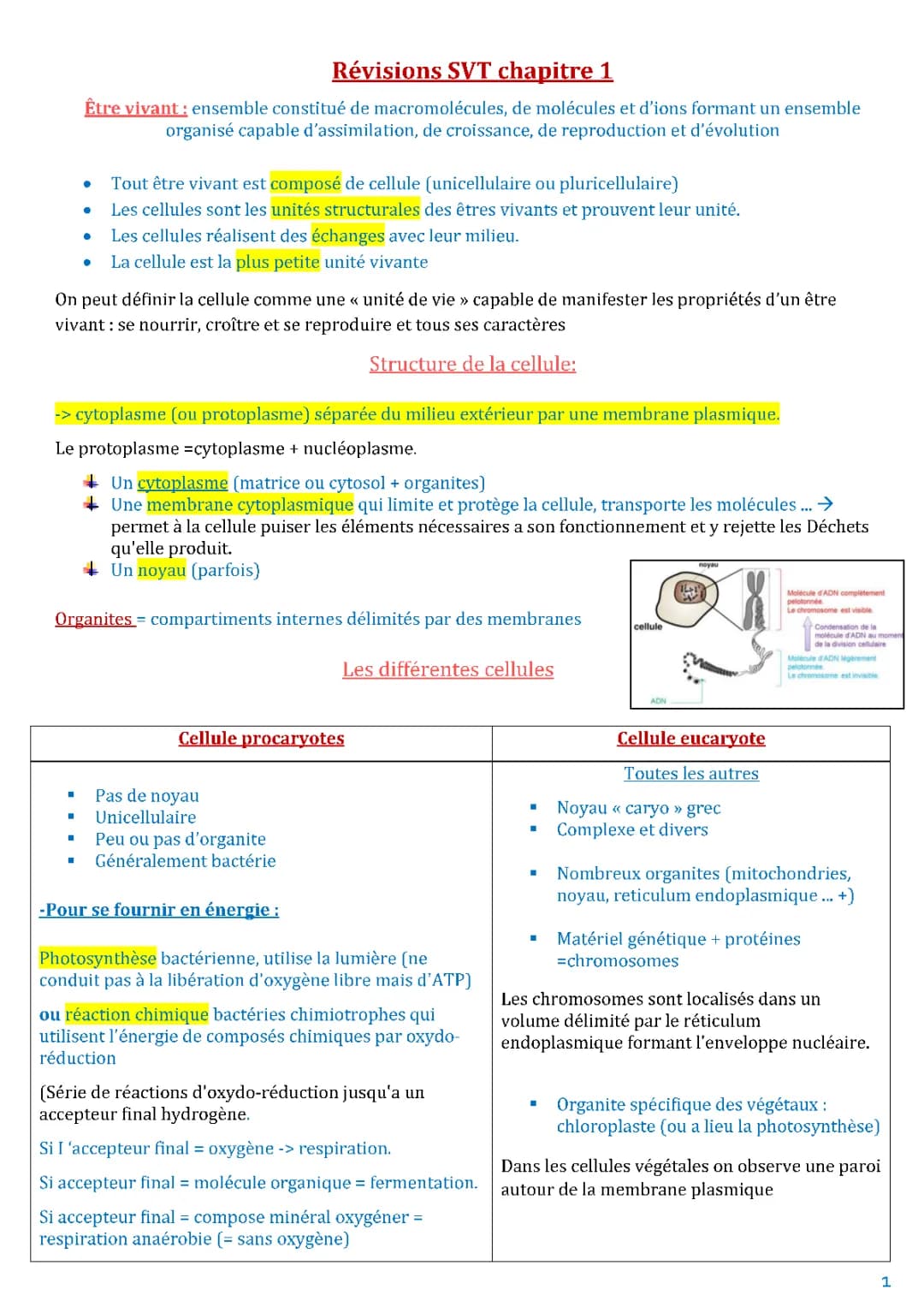 organisation fonctionnelle du vivant 