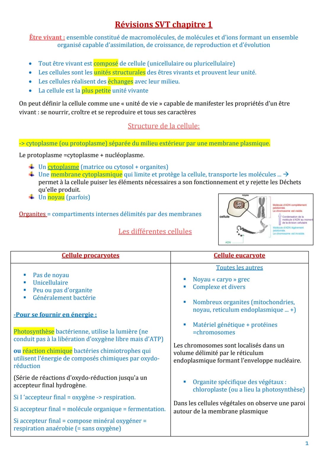 Révisions SVT chapitre 1
Être vivant : ensemble constitué de macromolécules, de molécules et d'ions formant un ensemble
organisé capable d'a