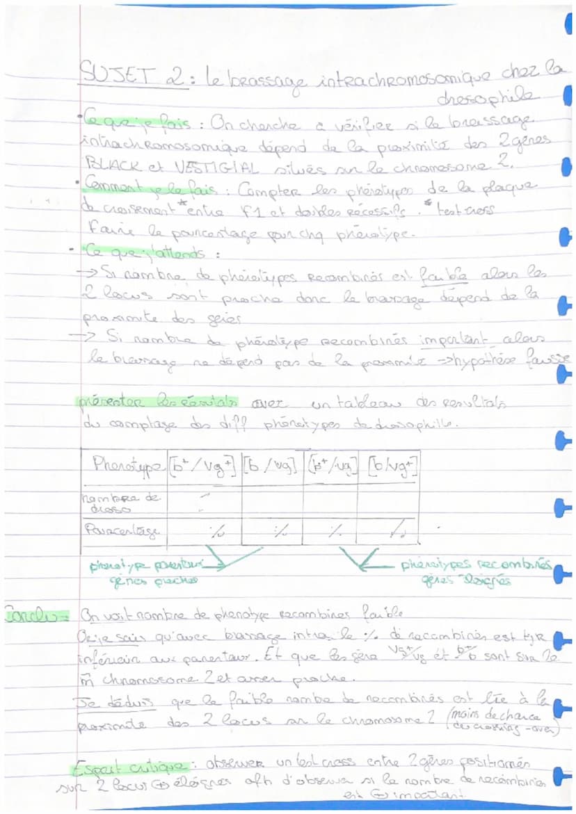 2024
0
ECE SVT DROSOPHILES
SUJET 1: BRassage gérétique chez la diosophile
• Ce que je fais: On cheeche à determiner la couleur noir
de la di