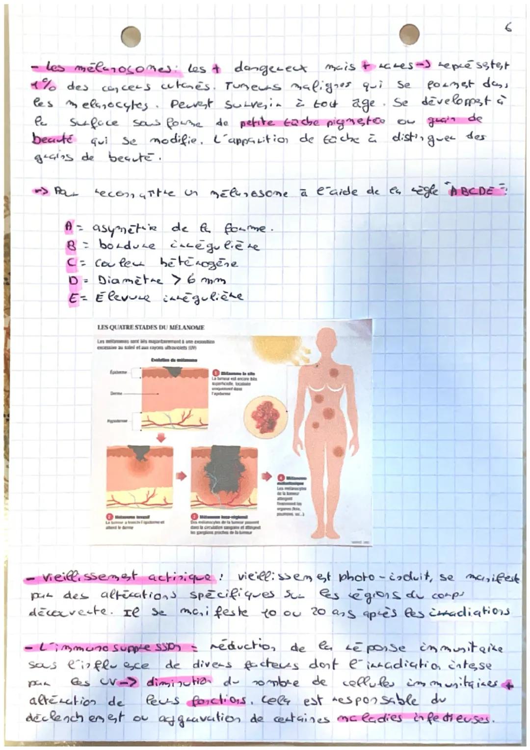 # Les UV et la peau

• Royomement solaine:

=> Soleil produit un rayonnemest complexe forme
de radiations électromagnétiques qui constitue l