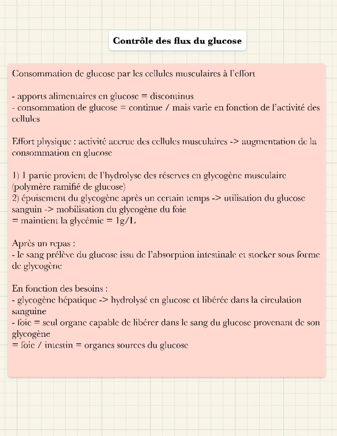 Le contrôle du glucose