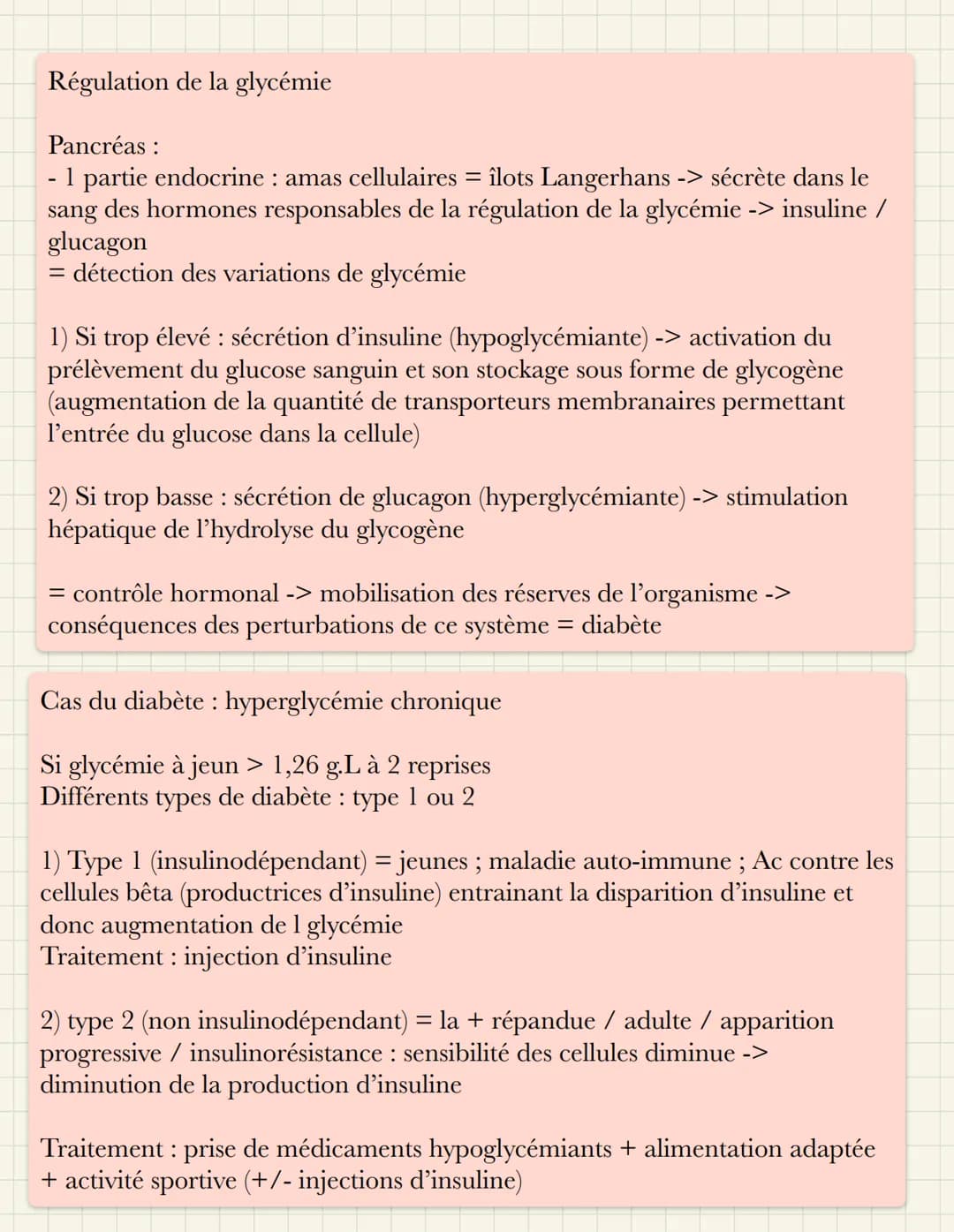 Contrôle des flux du glucose
Consommation de glucose par les cellules musculaires à l'effort
- apports alimentaires en glucose = discontinus