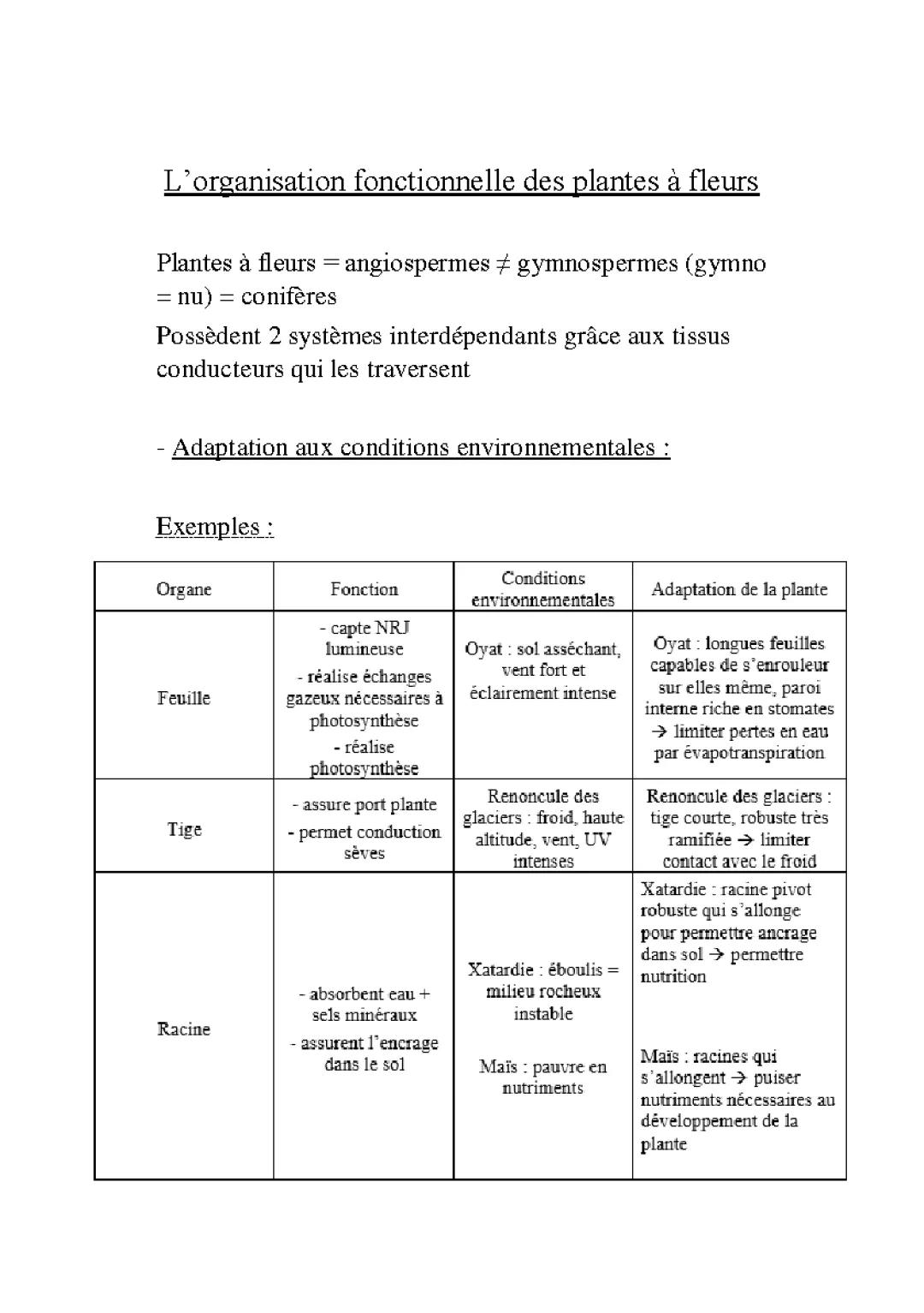 Tout sur l'adaptation des plantes : astuces pour survivre dans différents milieux de vie