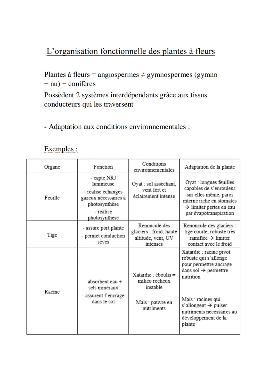 L’organisation fonctionnelle des plantes à fleurs
Plantes à fleurs = angiospermes ‡ gymnospermes (gymno
= nu) = conifères
Possèdent 2 systèm