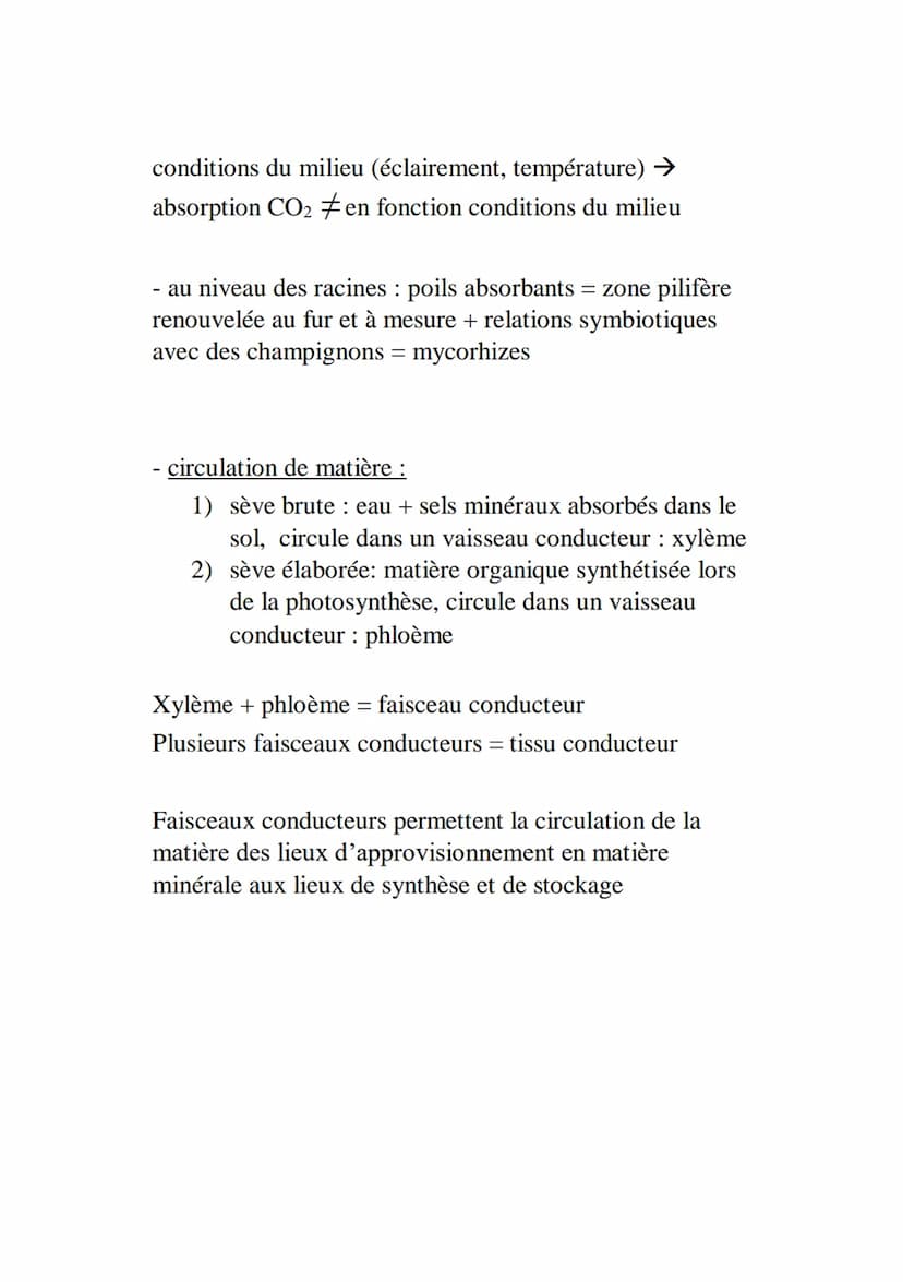 L’organisation fonctionnelle des plantes à fleurs
Plantes à fleurs = angiospermes ‡ gymnospermes (gymno
= nu) = conifères
Possèdent 2 systèm