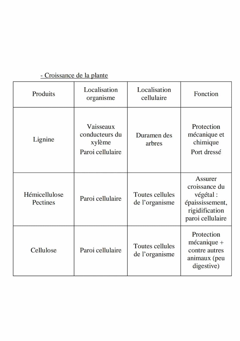 L’organisation fonctionnelle des plantes à fleurs
Plantes à fleurs = angiospermes ‡ gymnospermes (gymno
= nu) = conifères
Possèdent 2 systèm