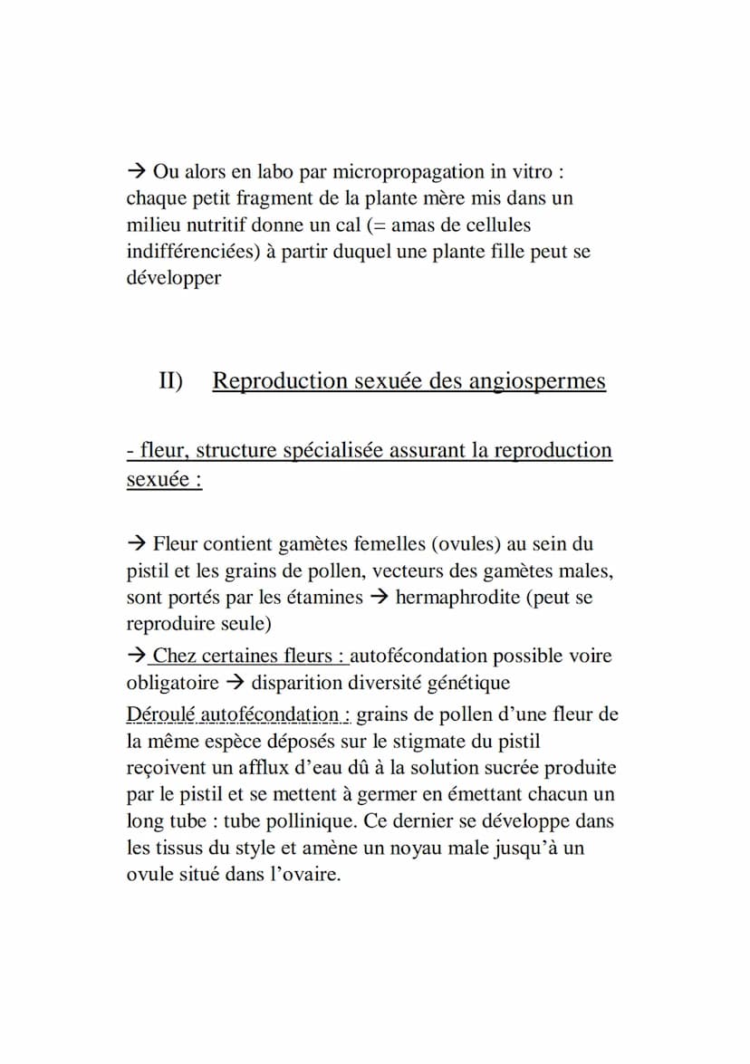 L’organisation fonctionnelle des plantes à fleurs
Plantes à fleurs = angiospermes ‡ gymnospermes (gymno
= nu) = conifères
Possèdent 2 systèm