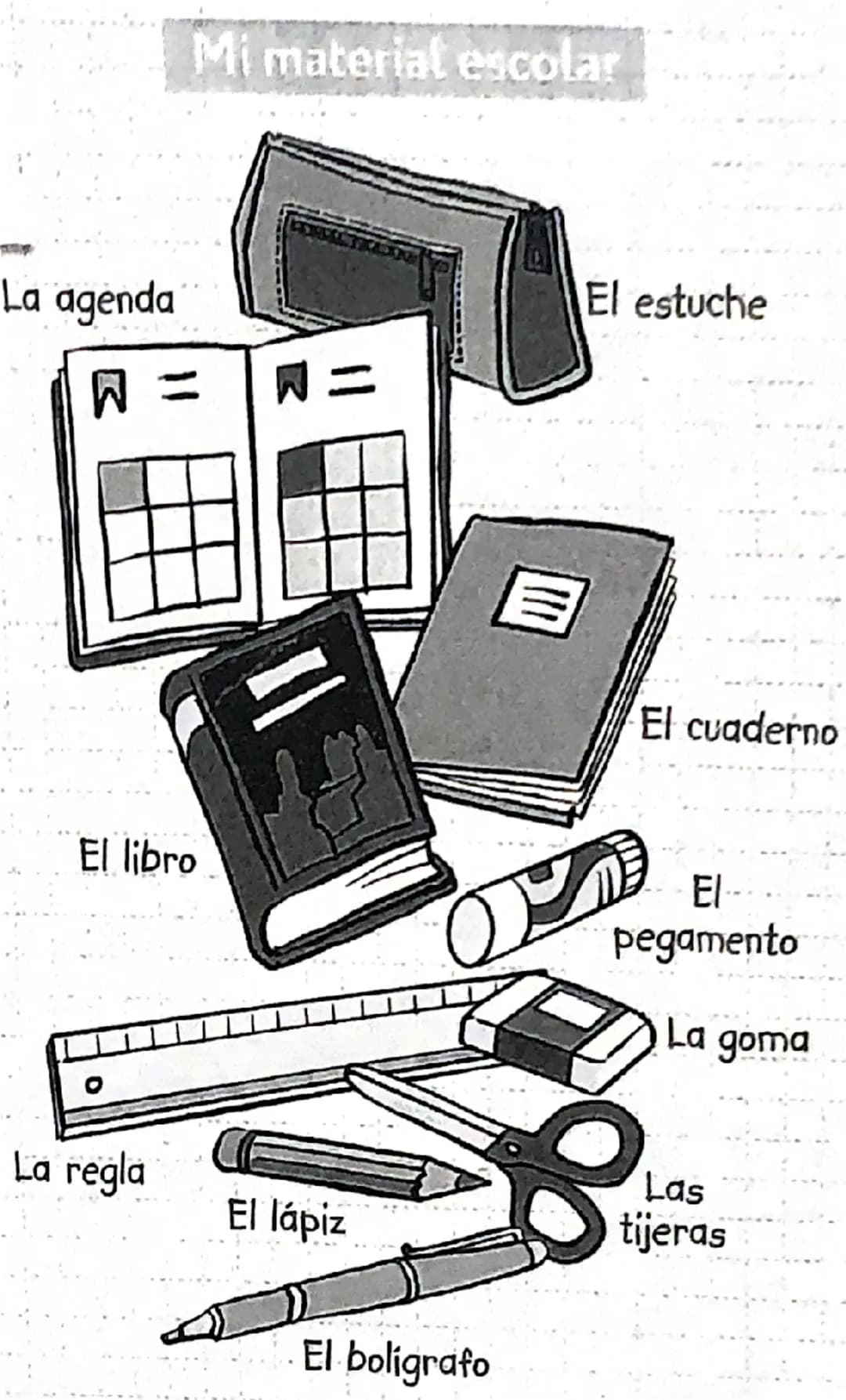 La agenda
W =
Mi material escolar
W =
El estuche
El cuaderno
El libro
El
pegamento
La
goma
La regla
El lápiz
Las -
tijeras
El boligrafo