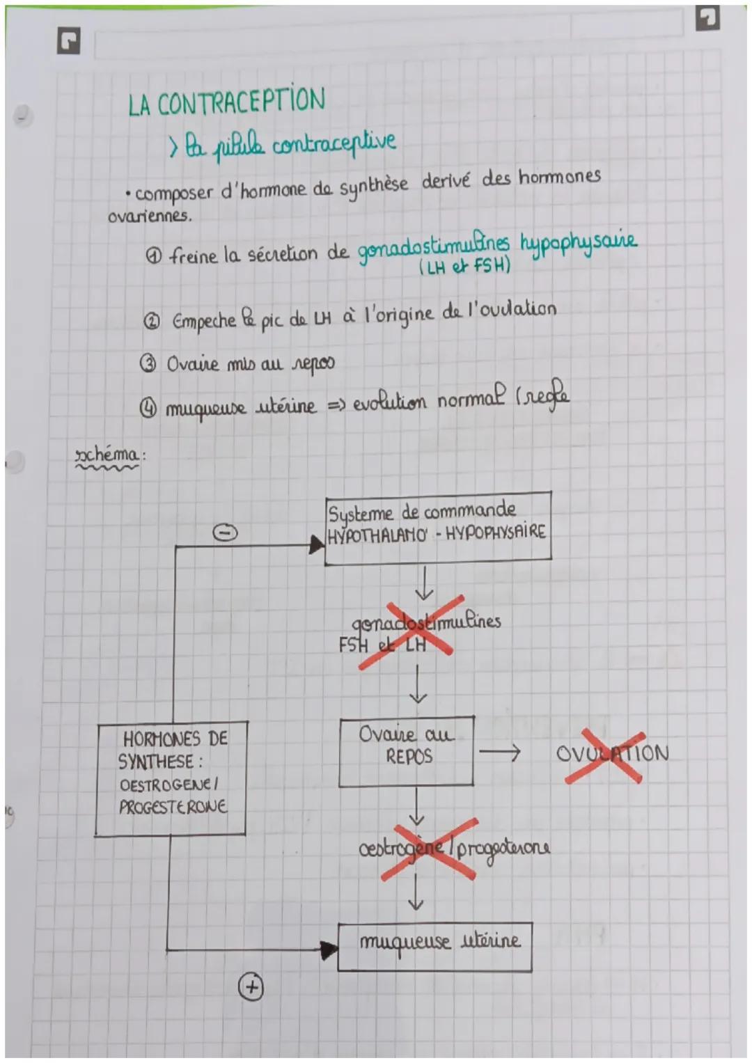 19
# LA CONTRACEPTION
> la pilule contraceptive
*   composer d'hormone de synthèse derivé des hormones
.
ovariennes.
@freine la sécretion de