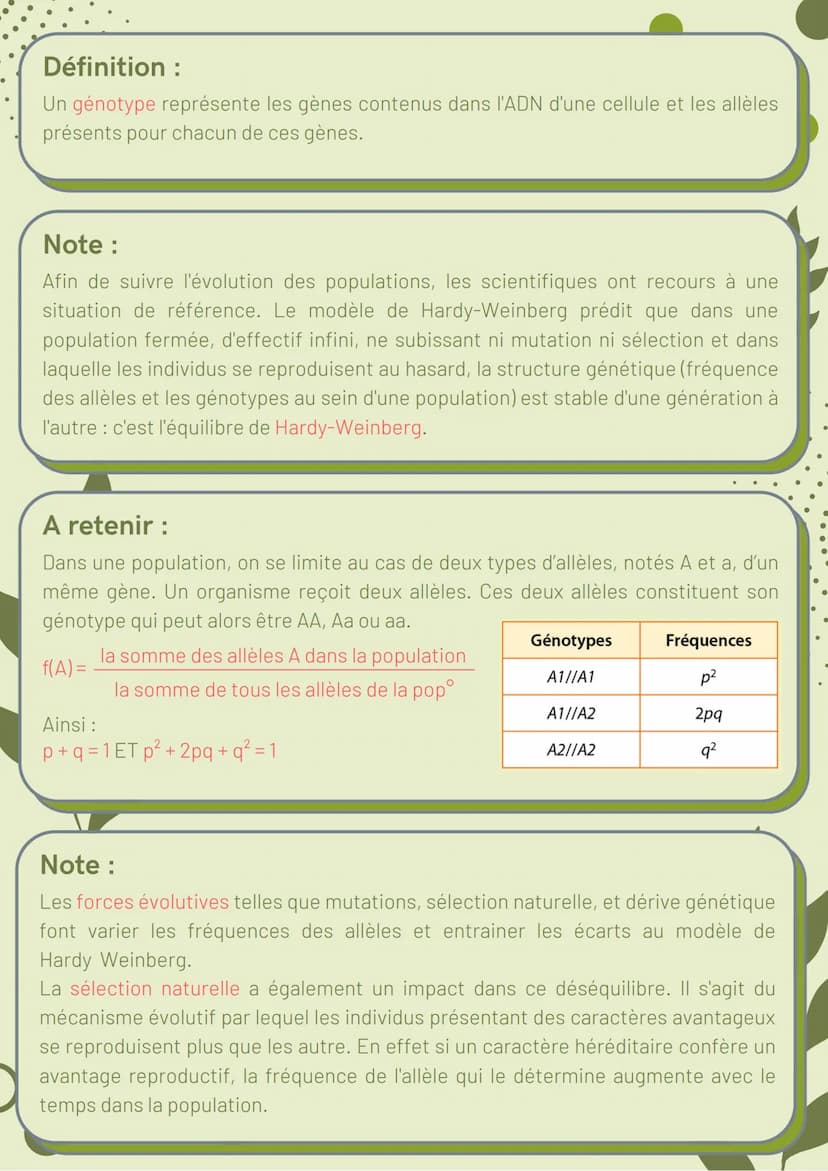 
<h2 id="labiodiversitetsonvolution">La biodiversité et son évolution</h2>
<h3 id="labiodiversitdfinitionetchelles">La biodiversité :  défin