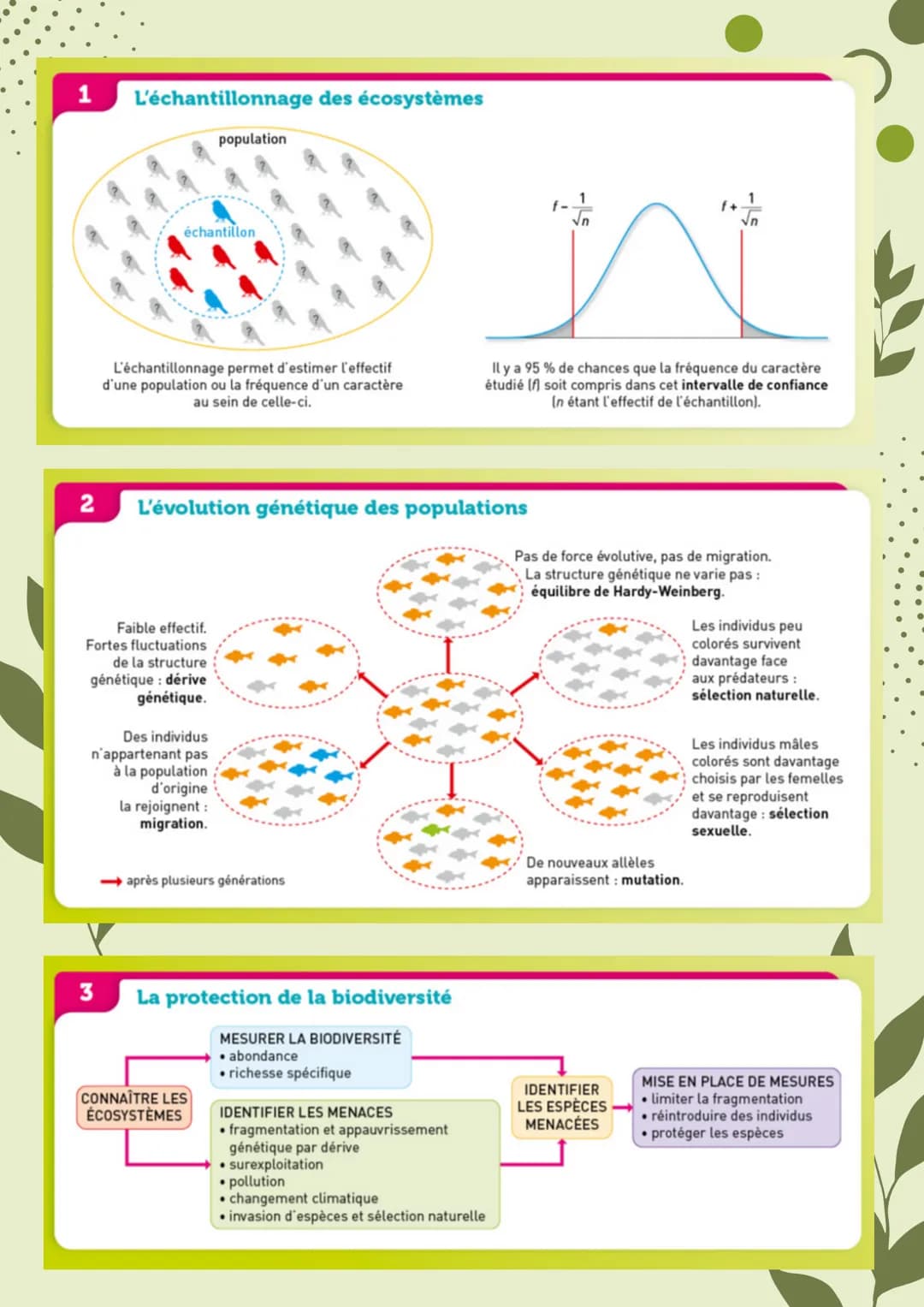 
<h2 id="labiodiversitetsonvolution">La biodiversité et son évolution</h2>
<h3 id="labiodiversitdfinitionetchelles">La biodiversité :  défin