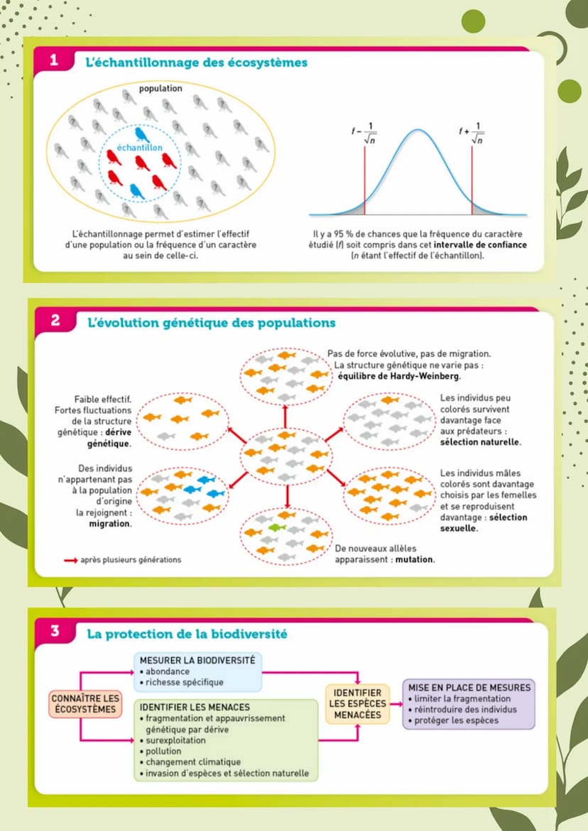 
<h2 id="labiodiversitetsonvolution">La biodiversité et son évolution</h2>
<h3 id="labiodiversitdfinitionetchelles">La biodiversité :  défin