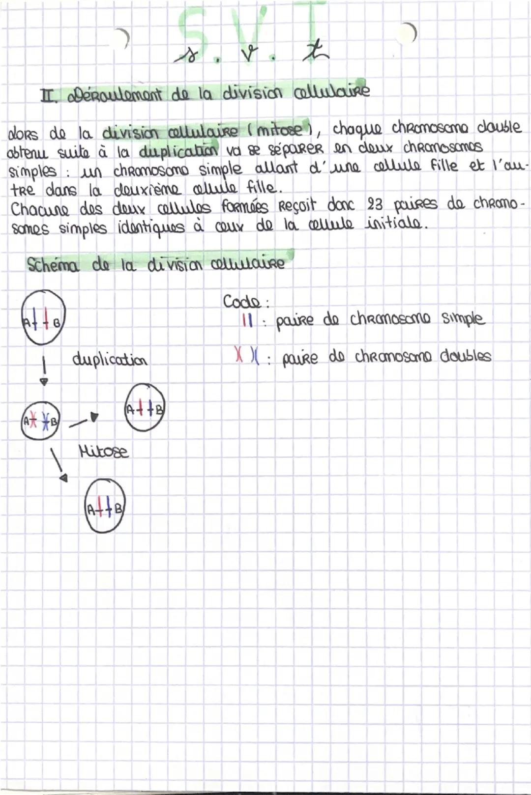Maintien du genotype lors d'une division cellulaire

I. Préparation de la division cellulaire :

Chap 3.

da division d'une cellule est prép