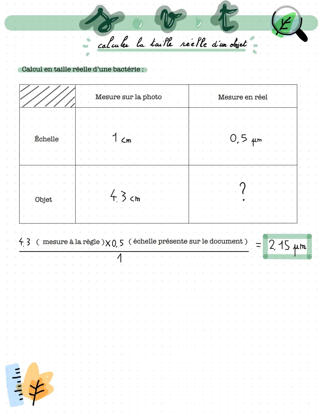 ייוייויי
Calcul en taille réelle d'une bactérie:
Échelle
t
calculer la taille reelle d'un objet
Objet
Mesure sur la photo
1
(m
4.3 cm
Mesure