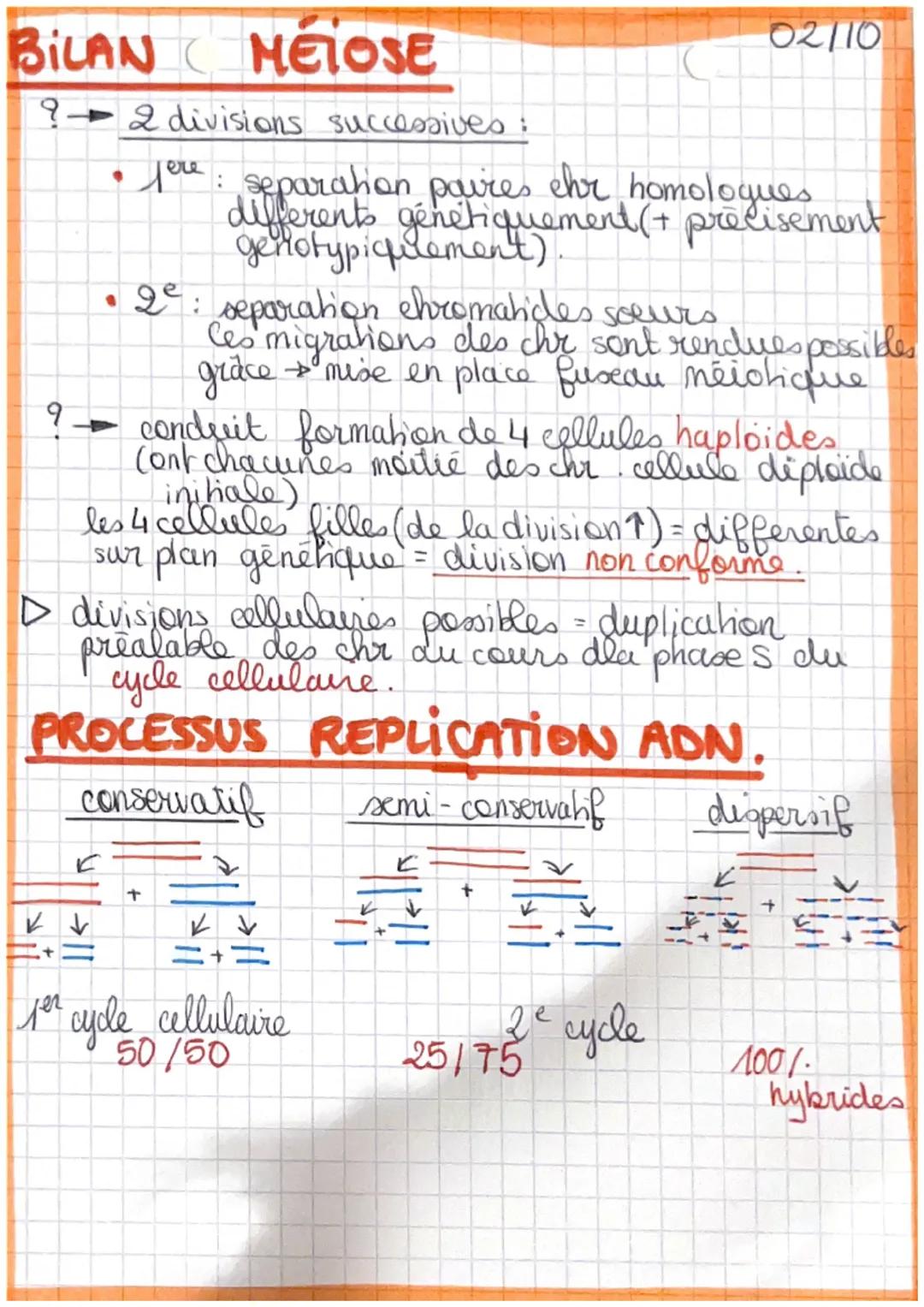 SVE
PROCARYOTES = organisme avec des cellules sans
nogau (bacterie), l'ADN dans le
cyhoplasme n'est pas protégé.
EUCARYOTES = organisme avec