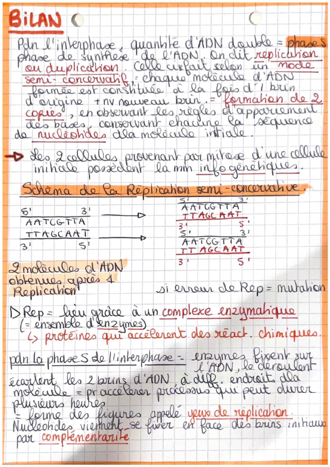 SVE
PROCARYOTES = organisme avec des cellules sans
nogau (bacterie), l'ADN dans le
cyhoplasme n'est pas protégé.
EUCARYOTES = organisme avec