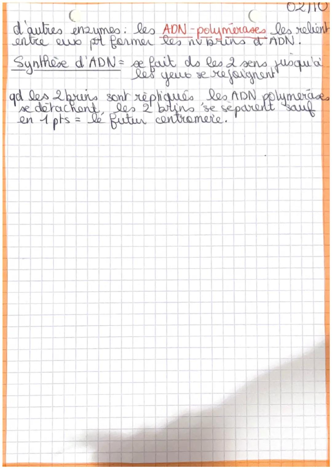SVE
PROCARYOTES = organisme avec des cellules sans
nogau (bacterie), l'ADN dans le
cyhoplasme n'est pas protégé.
EUCARYOTES = organisme avec