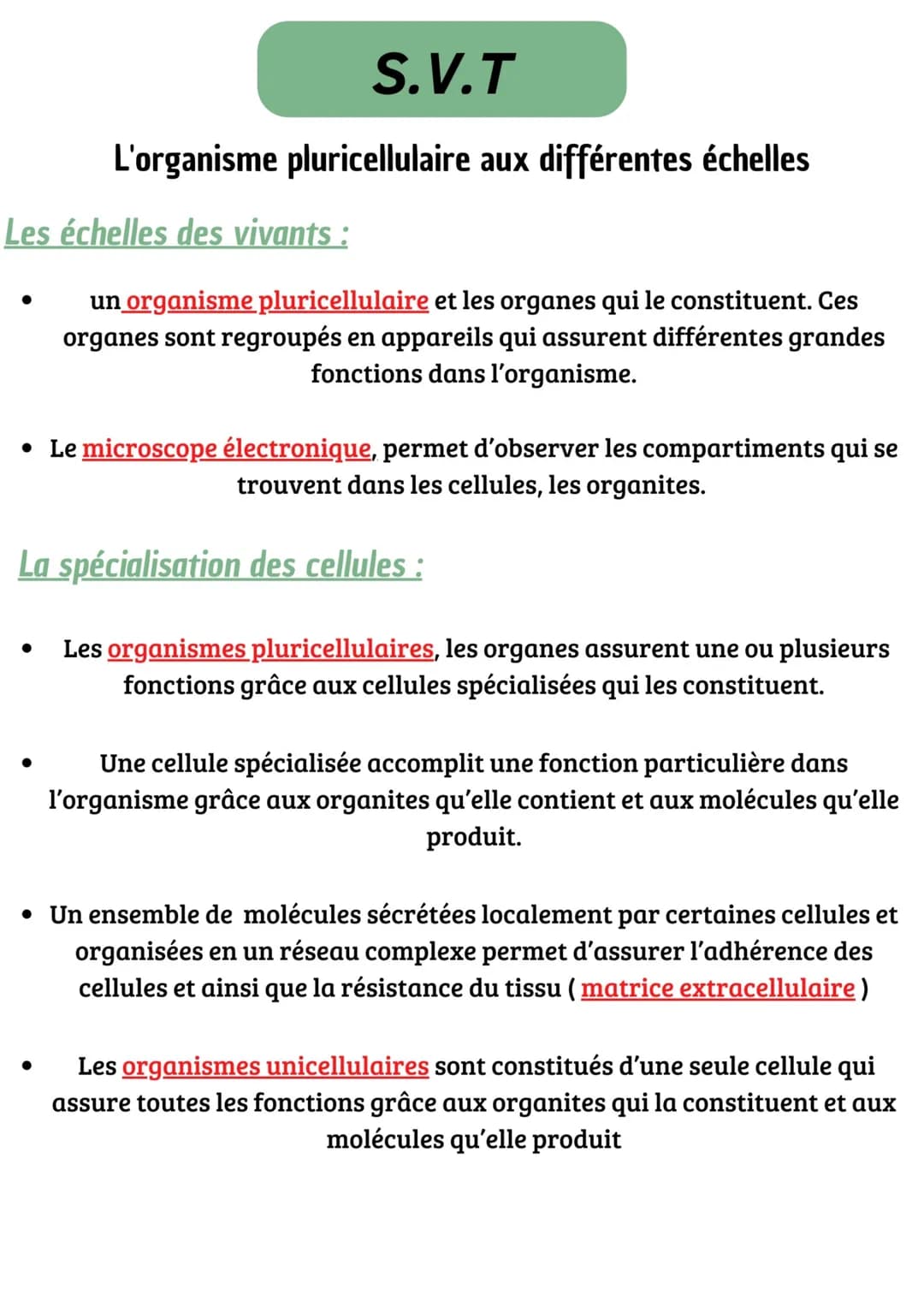 S.V.T
L'organisme pluricellulaire aux différentes échelles
Les échelles des vivants :
un organisme pluricellulaire et les organes qui le con