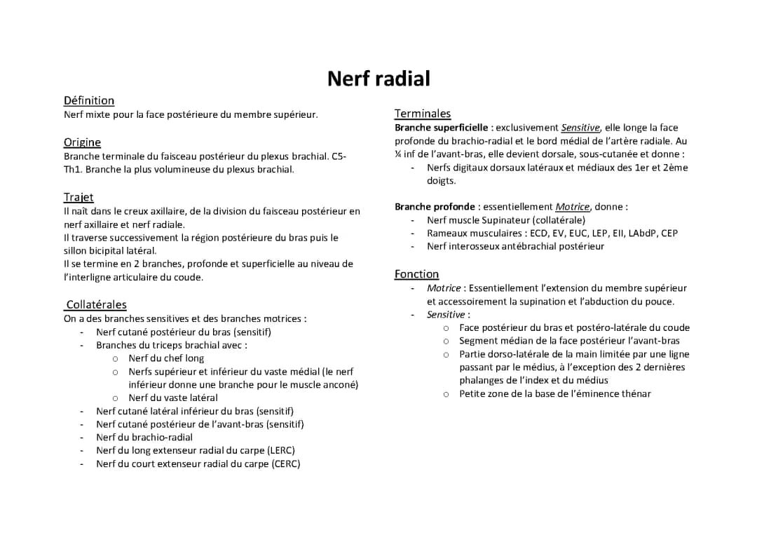 Nerf radial
