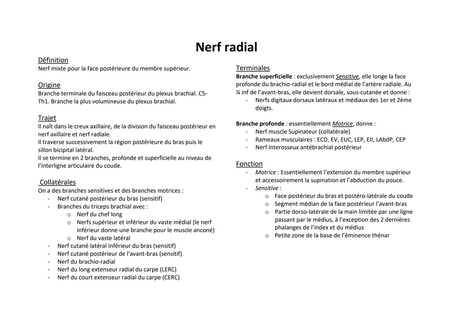 Définition
Nerf mixte pour la face postérieure du membre supérieur.
Origine
Branche terminale du faisceau postérieur du plexus brachial. C5-