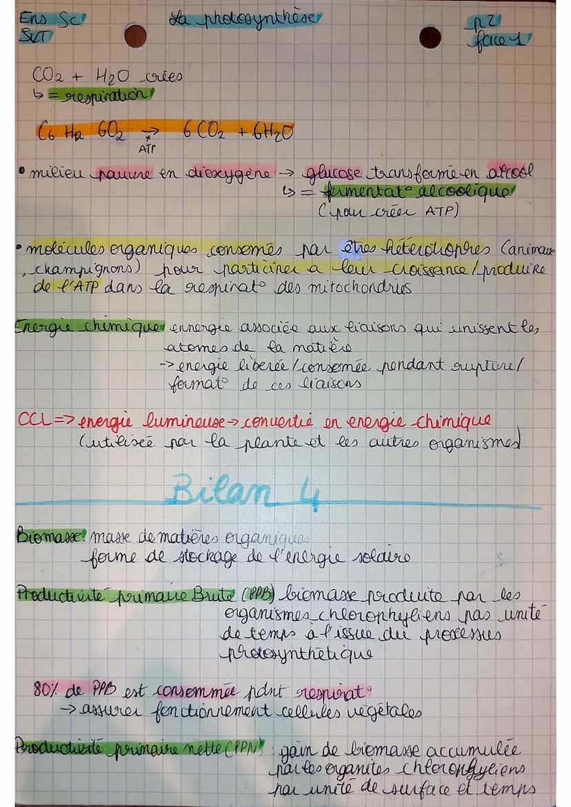 Ens-Sc
SUT
La photosynthèse
Bilan 1
Chlorophyle pigment photosynthétique (= utilise une partie
de l'energie lumineuse)
grâce au spectre d'ab