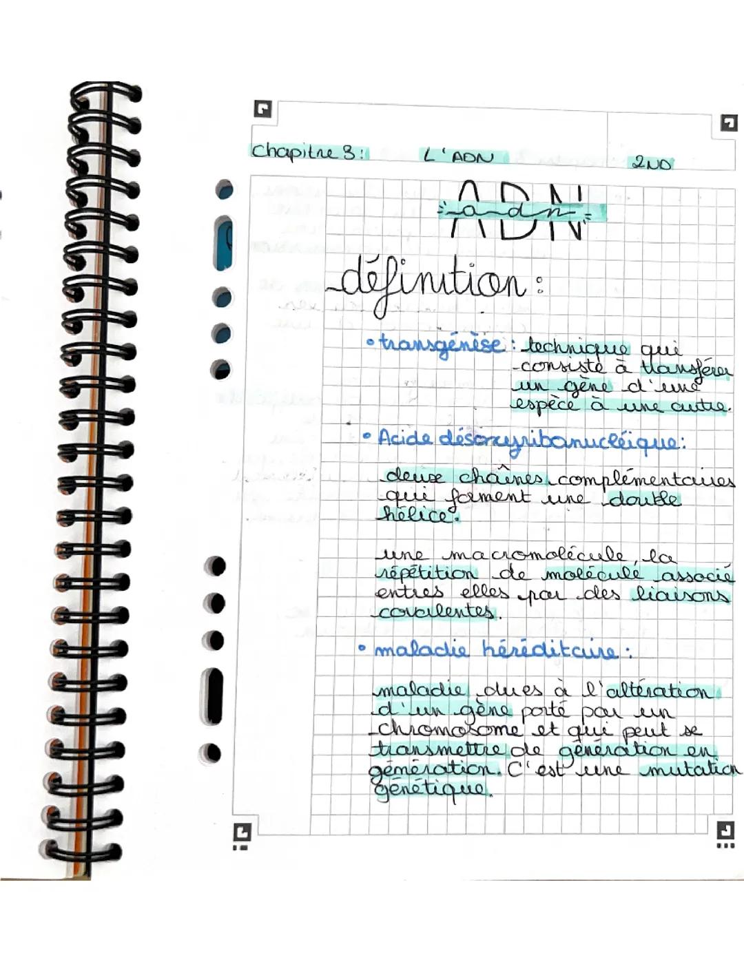 L’ADN : Introduction et Exploration