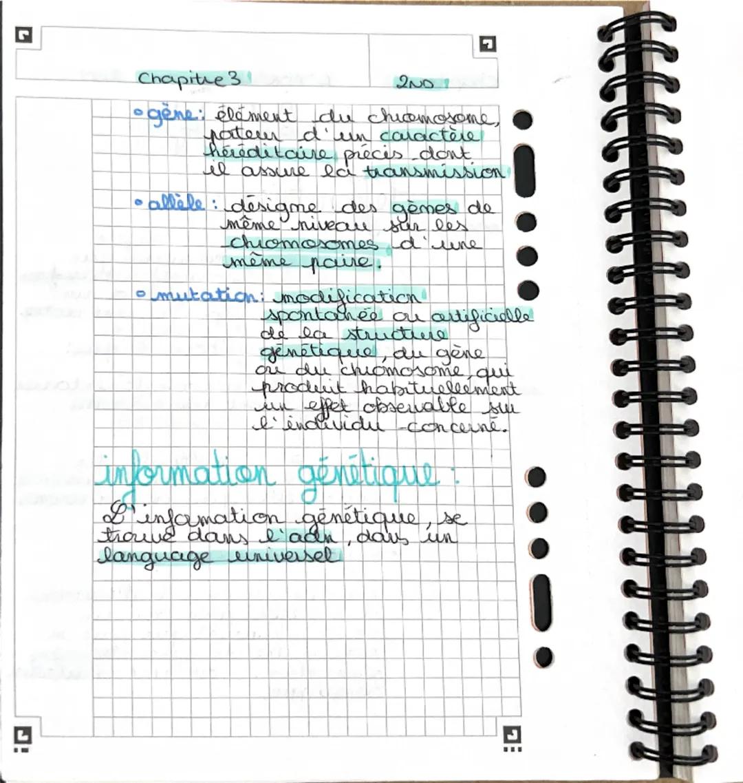 chapitre 3
L'ADN
ADN
200
definition:
0
• transgénise: technique qui
-consiste à
Hansfere
un gène d'une
espèce à une autre.
• Acide desoxyrib